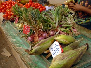 Farmers market, Ciego de Avila