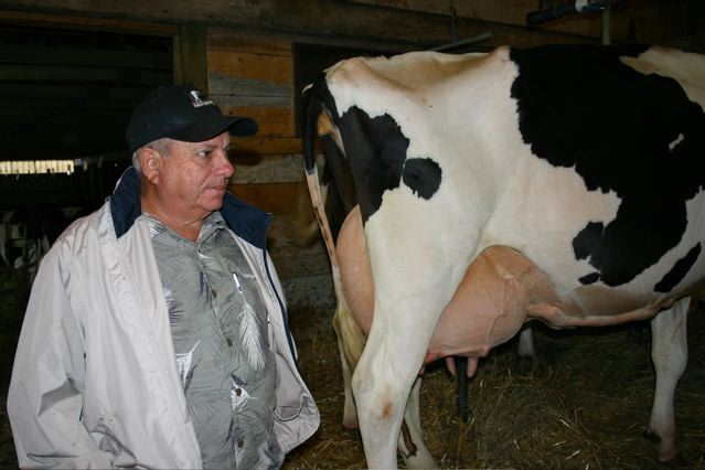 Juan Sanchez Martell at Twilight Meeting, Vale O' Skene Holsteins  Photo by Wendy Holm,